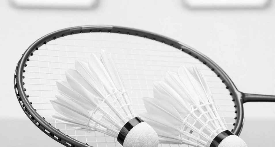 Asian Games 2026: India's Full Badminton Contingent - In-Depth Analysis Asian Games 2026: India's Full Badminton Contingent - In-Depth Analysis