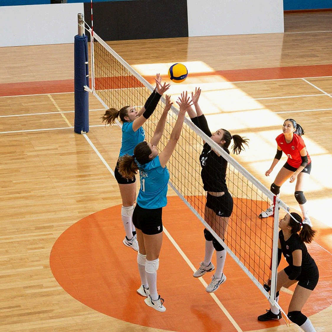 Showdown at the Net 2026: ACC và SEC đối đầu tại Disney World – Pitt số 1, Stanford và cuộc chiến định vị bóng chuyền nữ NCAA